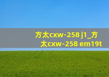 方太cxw-258 j1_方太cxw-258 em19t